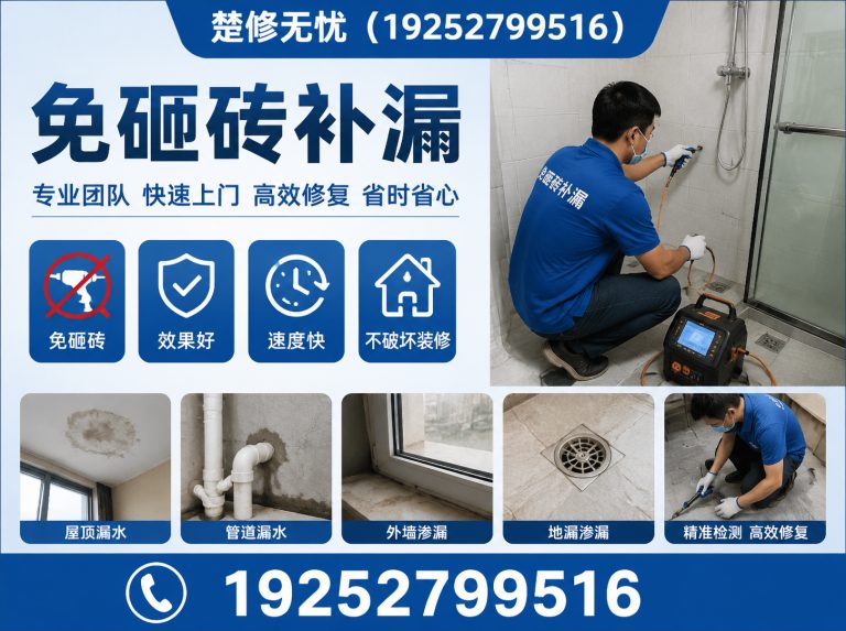 洪山区楚修无忧展示图